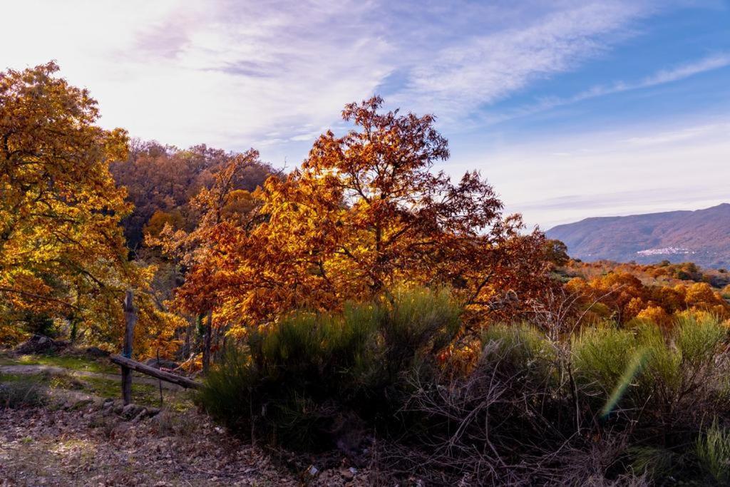 La Canada Del Valle Del Jerte นาวากอนเซโค ภายนอก รูปภาพ